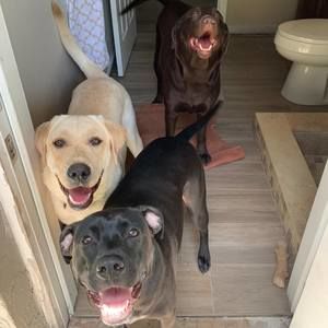 Meet your Posher, Lona